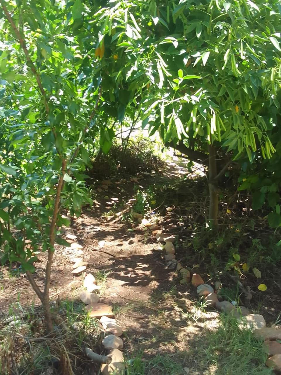 Bethany Farm Twee Riviere Екстериор снимка