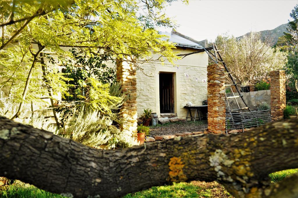 Bethany Farm Twee Riviere Екстериор снимка