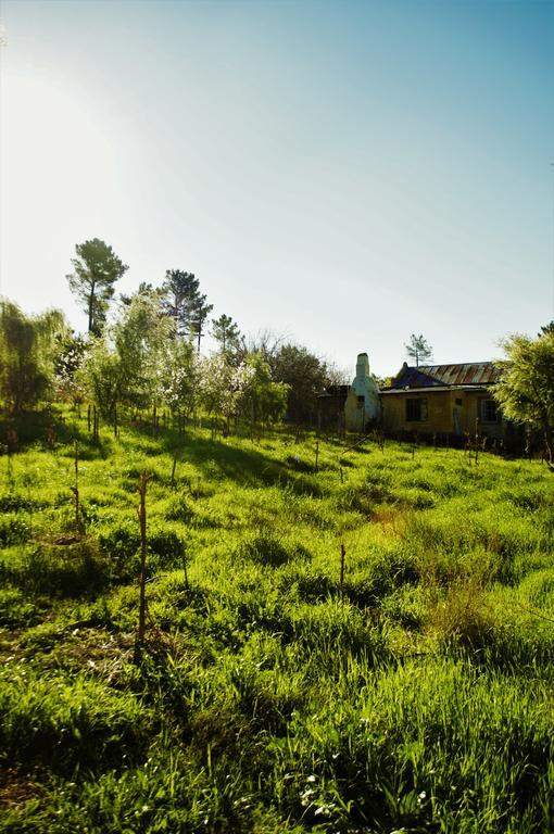 Bethany Farm Twee Riviere Екстериор снимка