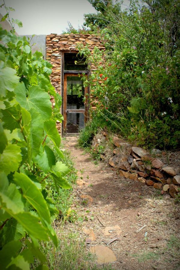 Bethany Farm Twee Riviere Екстериор снимка
